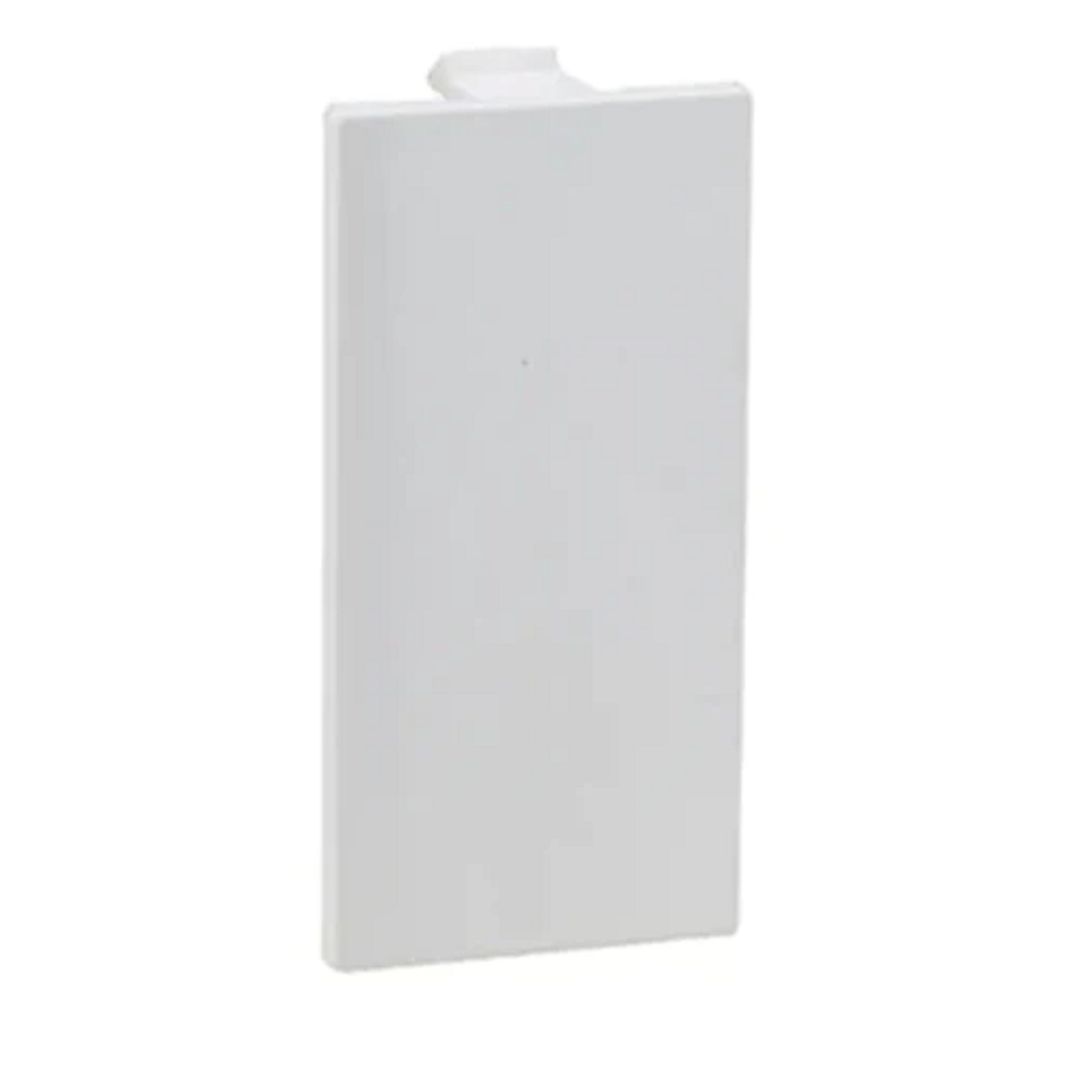 Blank Plate , 1 Module , Legrand  Britzy - White